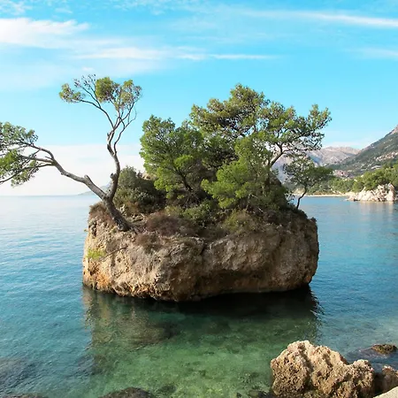 Sunny Garden Von Ana A2 By Interhome Apartment *